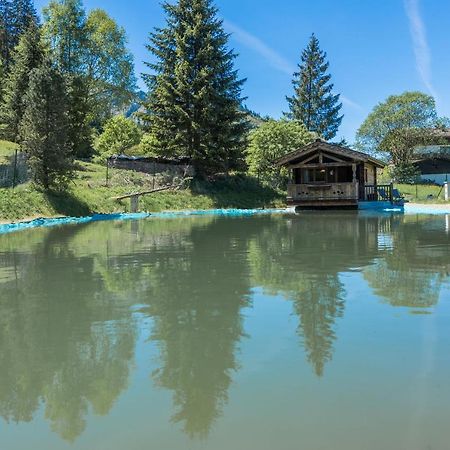 Willa Almliesl Holl-559 Hollersbach im Pinzgau Zewnętrze zdjęcie